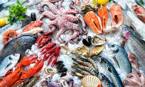 Seafood Industry